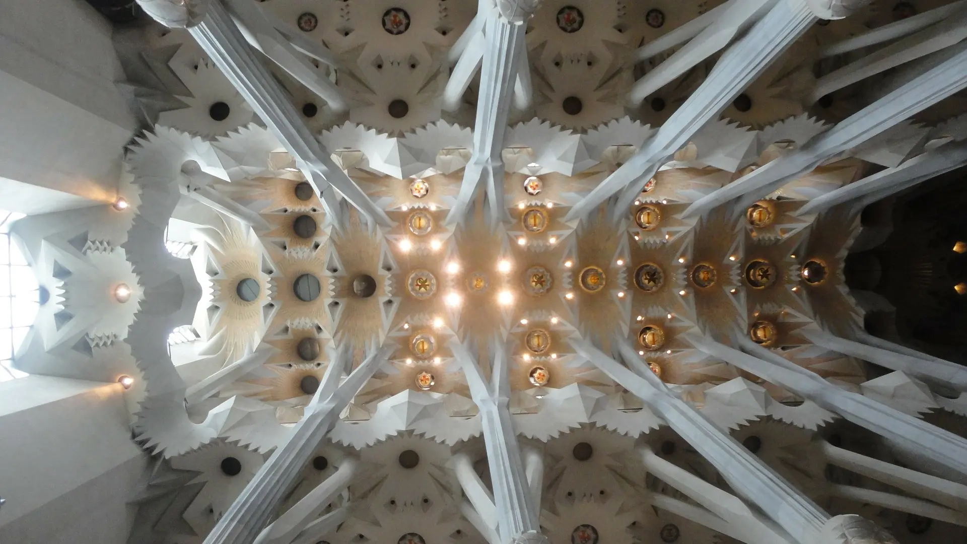 Built "tree branches" of the ceiling in the Sagrada Familia.