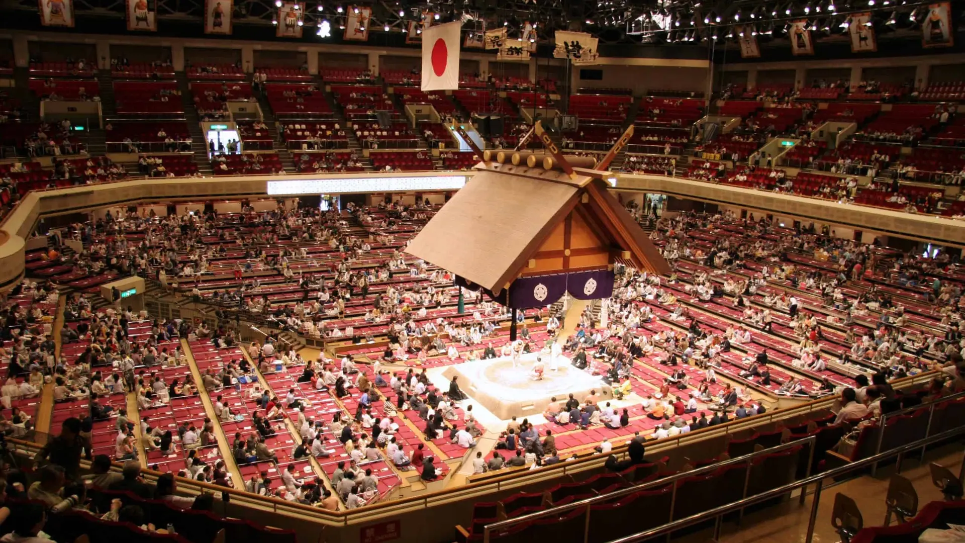 Sumo arena with box shaped arena in the centre, two fat fighters and locals and tourists enjoying the fight.