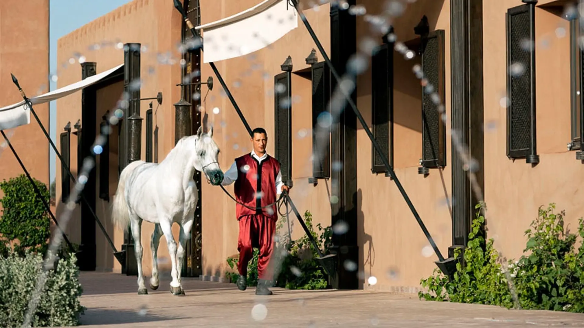 A white horse walked by a man in red through street.